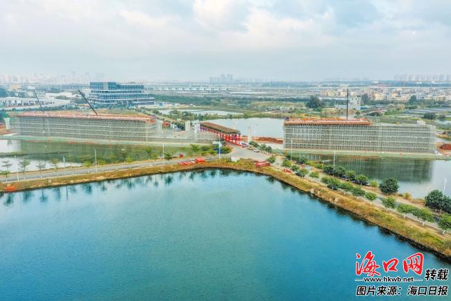 九游J9海口新海港片区“二线口岸”集中查验区专用通道新建工程