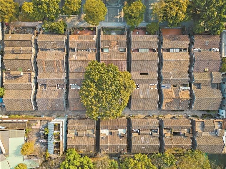 读懂广州·粤韵 市井巷陌见龙九游J9踪 岭南大地龙抬头(图8)